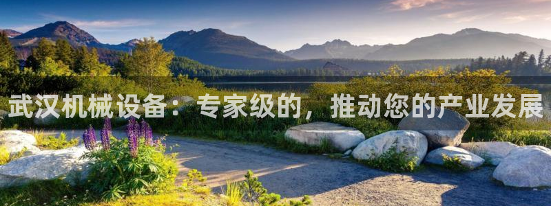 九游会平台app
