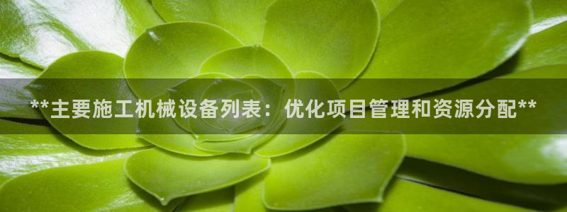 ag8九游