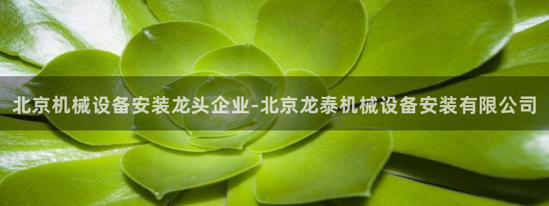 九游会老哥俱乐部官网首页