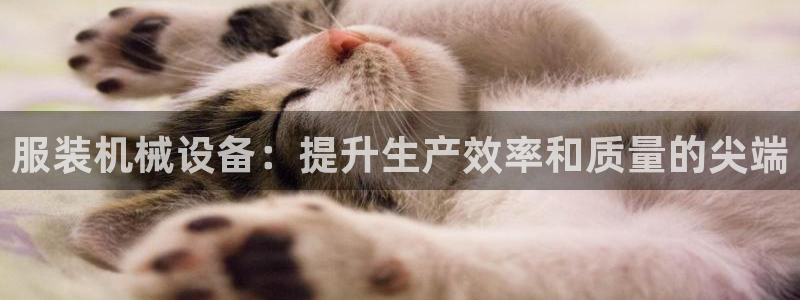 九游会平台登录不上