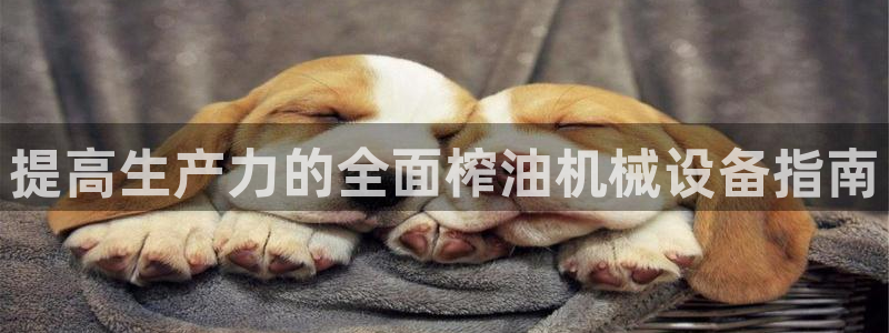 九游会集团官网