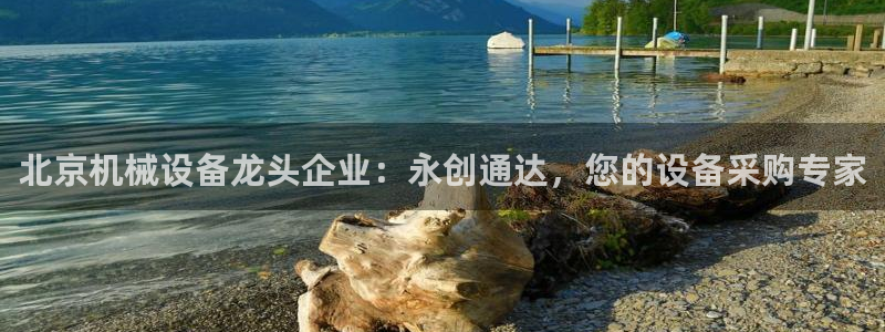 ag九游会论坛