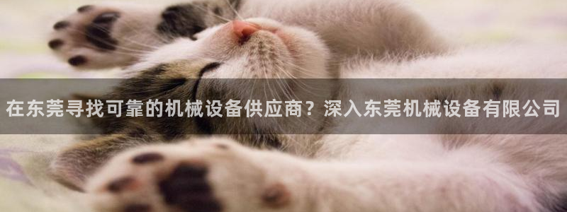 九游会倒闭