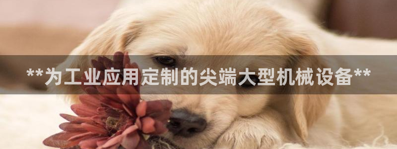 九游会网址最新