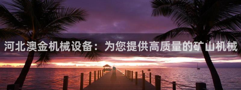 ag九游会app下载版官网正版