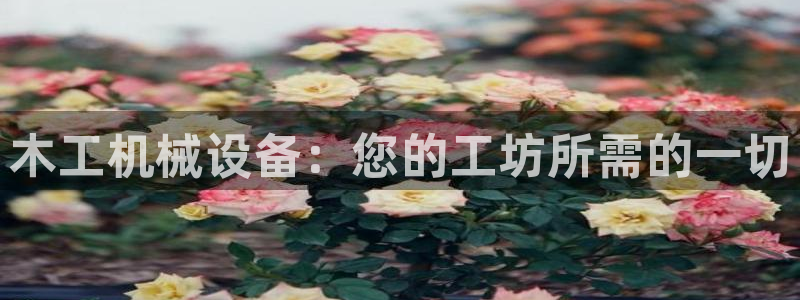 九游会游戏平台