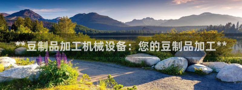 九游会官网入口首页