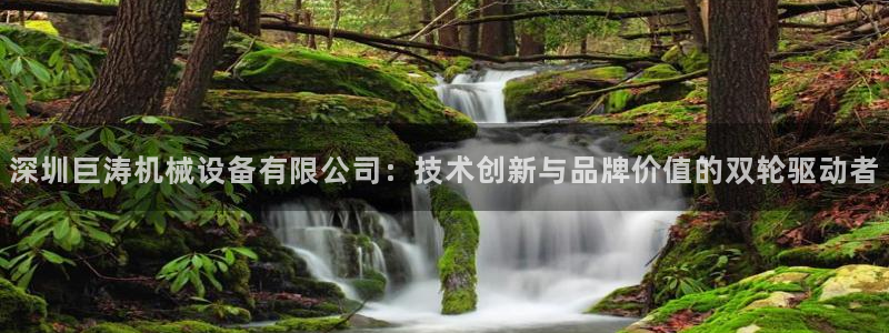 九游会j9官网入口登