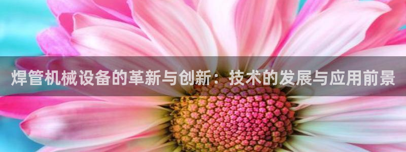 j9九游会黑网：焊管