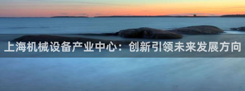 九游会网页：上海机械