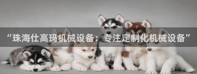 九游会首页登录 - 