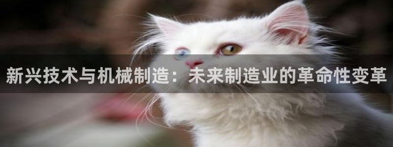 九游会游戏官网网页版