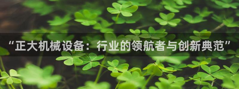 九游会官网入口