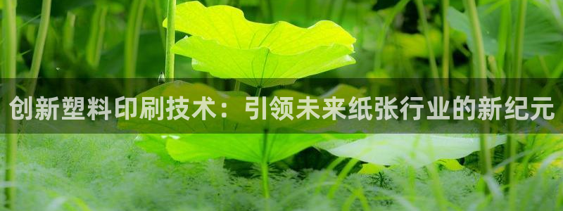 九游会网址多少