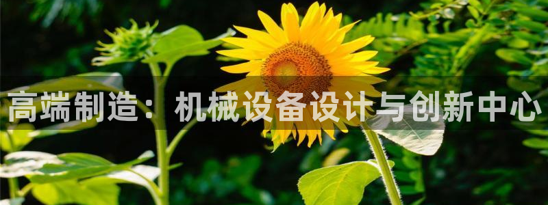 9游会ag