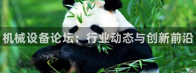 九游会怎么提币