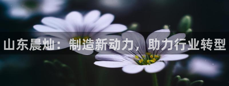 九游会官网平台