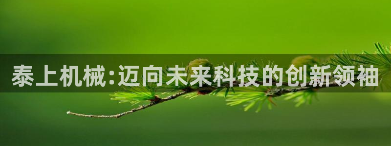 j9九游会网址是什么