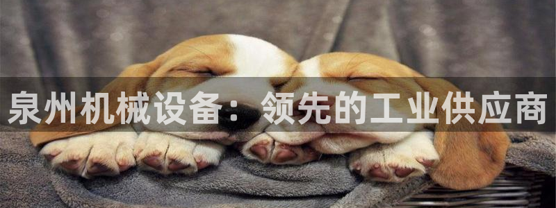 九游会手机版登录