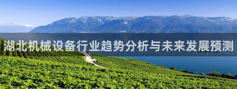 九游会平台网站