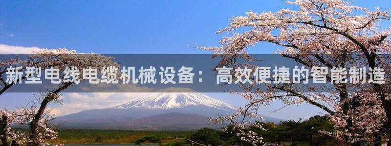 九游会是干嘛的