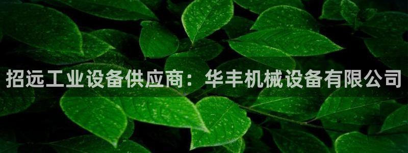 九游会官网个人中心登录
