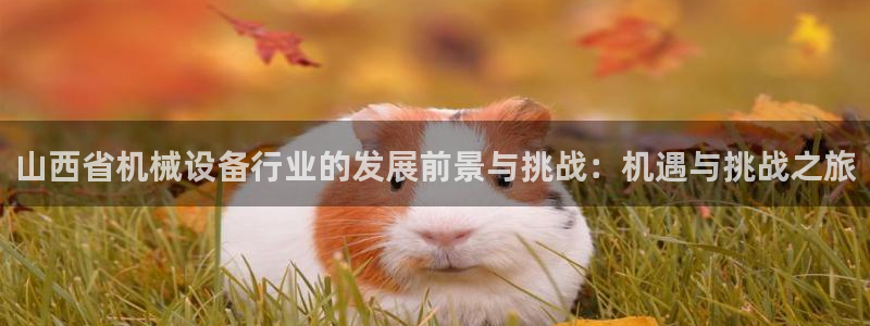 ag九游会官网网址