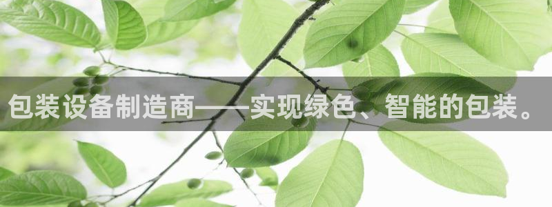 j9九游会ag8手机aPP