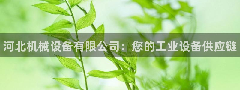 ag九游会论坛