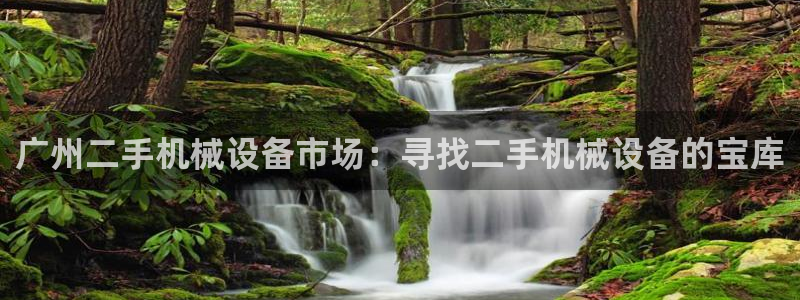 九游会平台网址