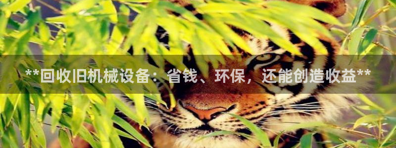 九游j9登陆
