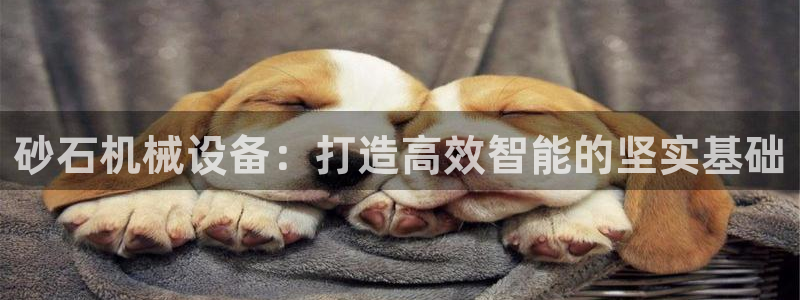 9游会ag