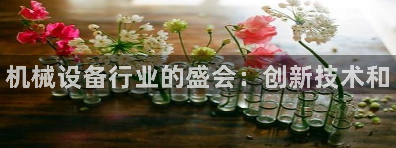 九游会口碑怎么样