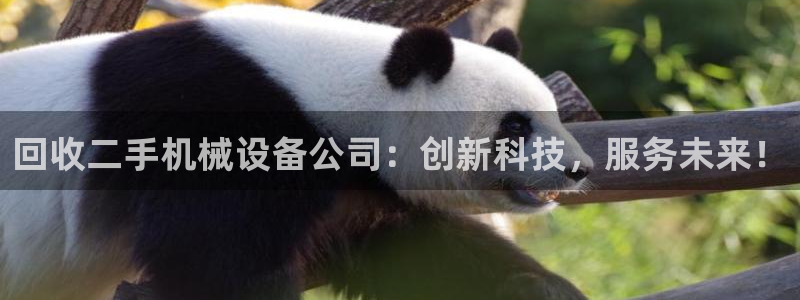 九游会j9登录官网