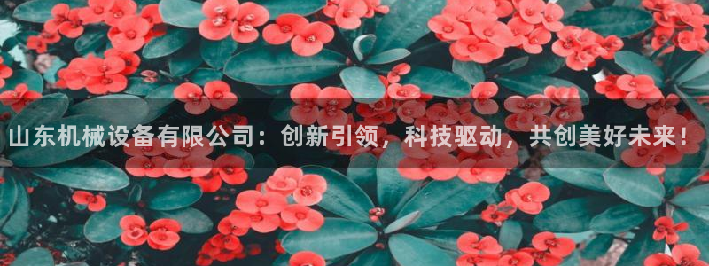 j9九游会真人第一品牌