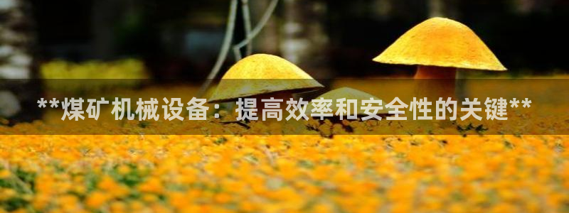 ag九游俱乐部