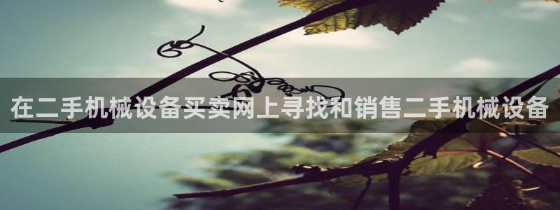 九游会官网多少