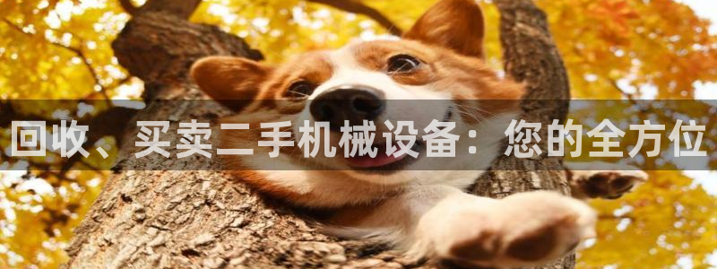 9游会官方网站