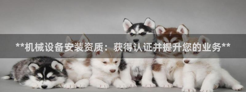 9游会app