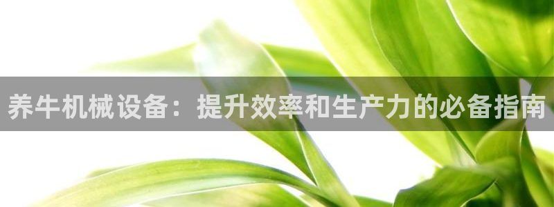 j9九游会最新版