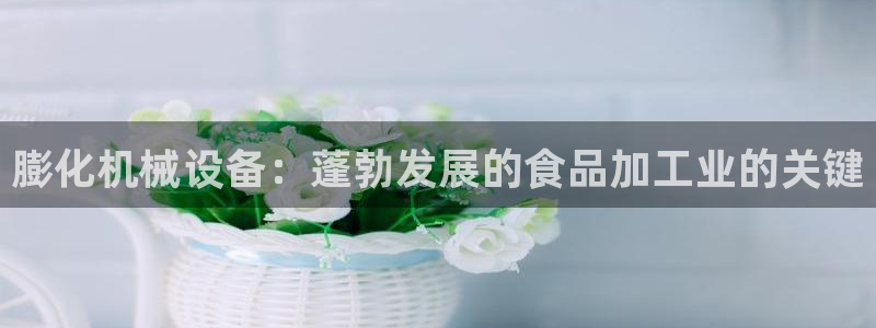 usdt九游会老哥俱乐部
