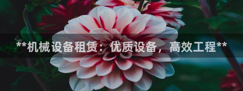 九游会官方网