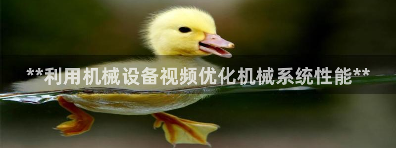 九游j9国际站