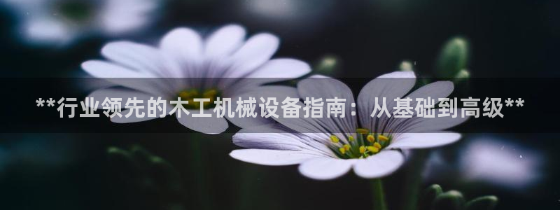 j9九游会官网