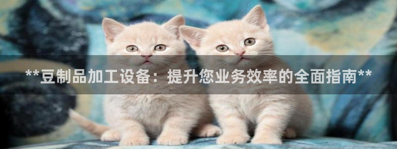 九游会官网入口