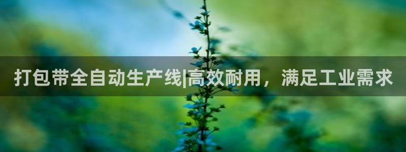 九游会官网入口