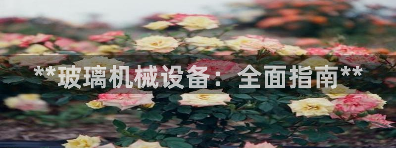 九游会数字货币
