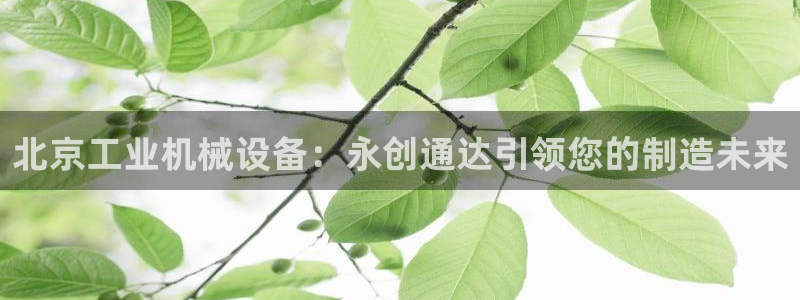九游会手机登陆