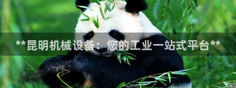 九游会J9官网入口