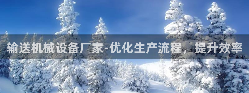 九游会集团货币